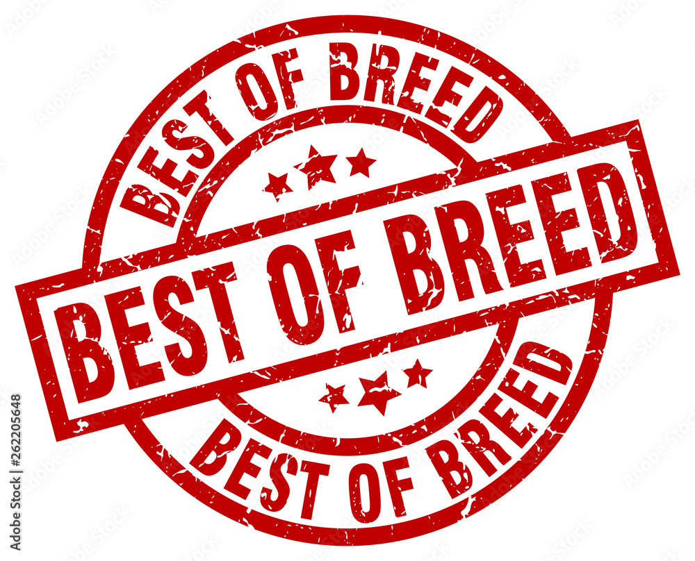 best of breed round red grunge stamp best of breed round red grunge stamp