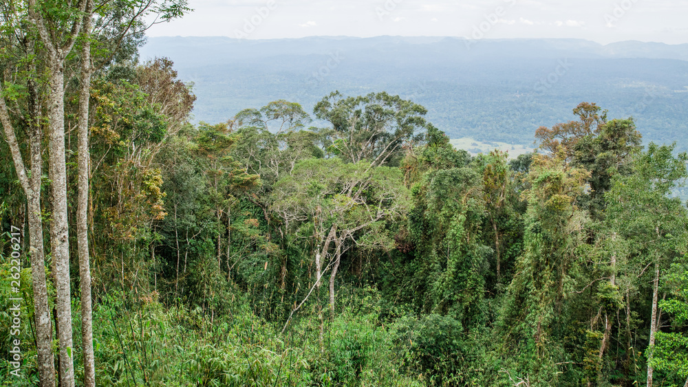 Scenic point area, khao yai national park, Thailand Scenic point area, khao yai national park, Thailand