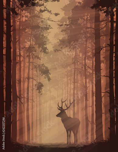 deer in the forest