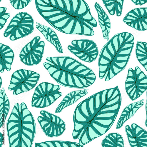 Seamless Tropical Pattern. Trendy Background with Rain Forest Plants. Vector Leaf of Alocasia. Araceae. Handwritten Jungle Foliage in Watercolor Style. Seamless Exotic Pattern for Textile, Fabric.