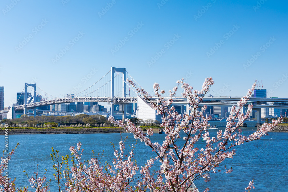 Obraz premium (東京都-都市風景)レインボーブリッジと東京湾岸風景５