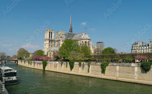 Notre Dame Cathedral surrounded by flowering trees