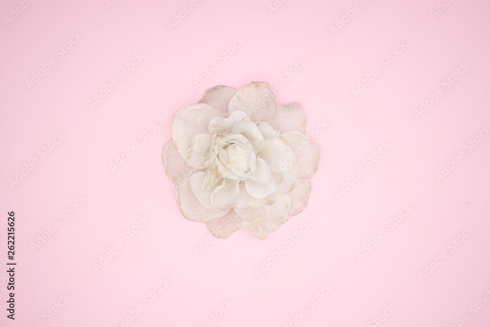 Woman''s accessories flower on pink background 