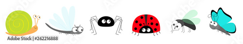 Snail Butterfly Lady bug ladybird Fly Housefly Spider Dragonfly insect icon set line. Baby kids collection. Cute cartoon kawaii funny character. Smiling face. Flat design. White background.