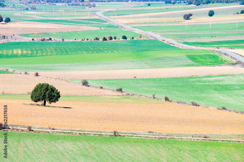 Naklejka premium aerial view of countryside fields