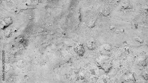 Texture of cement surface. Background cement wall. Abstract gray pattern. Natural gray cracked surface background. Copy space