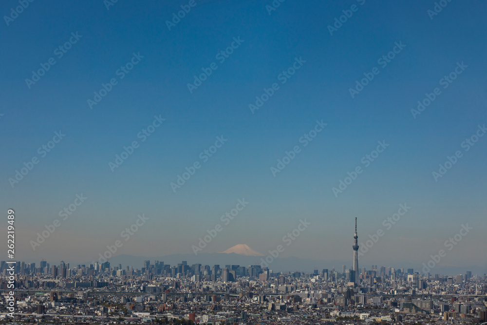 東京高層ビルの眺望