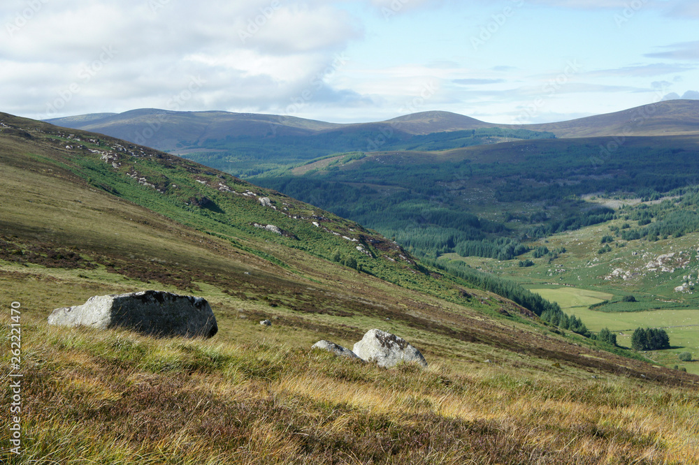 Obraz premium Landscapes of Ireland.Wicklow Mountains.