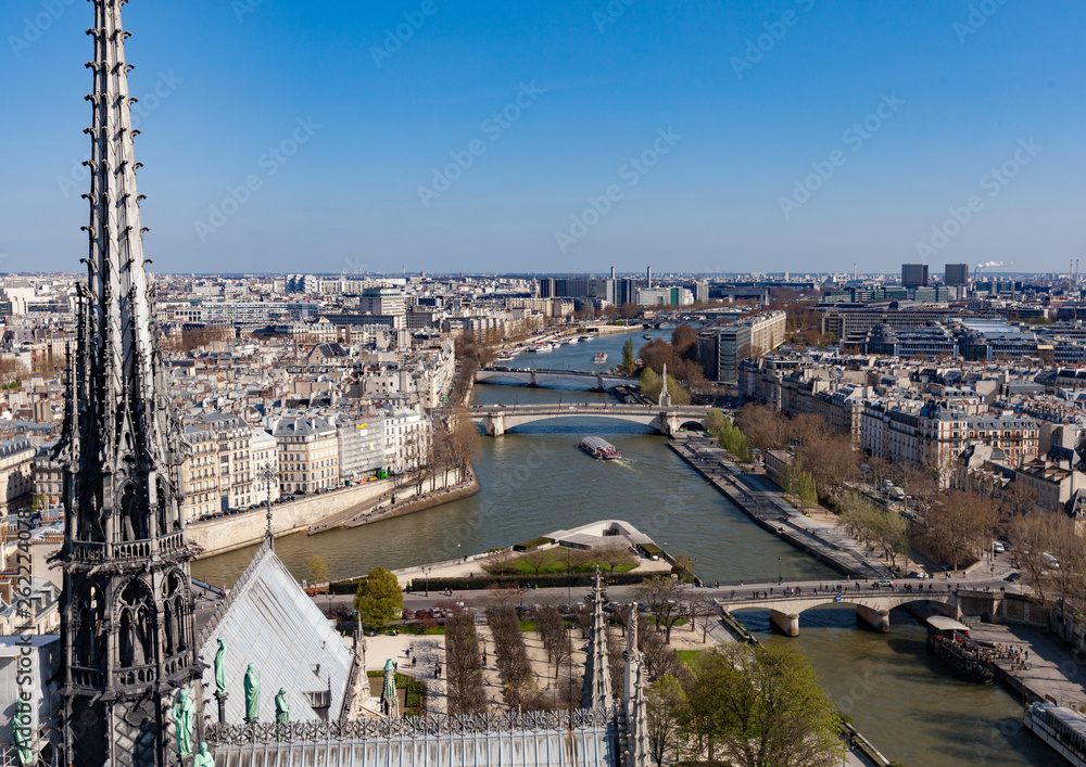 Rooftop view of paris from Notre Dame