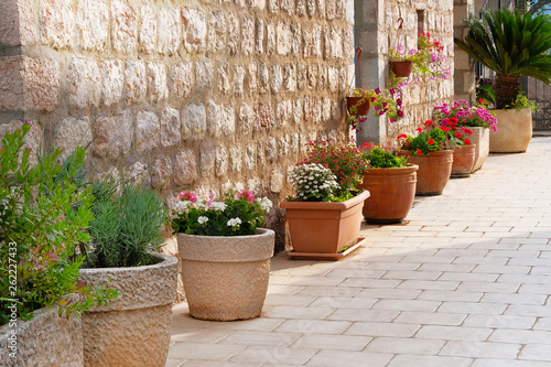 Pots with bushes of blooming plants. Landscape design. Bushes with red, pink and purple flowers in light ceramic flower pots.