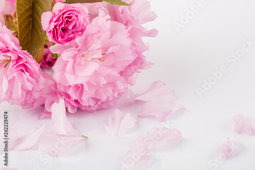 Fototapeta Naklejka Na Ścianę i Meble -  Pink cherry blossoms.