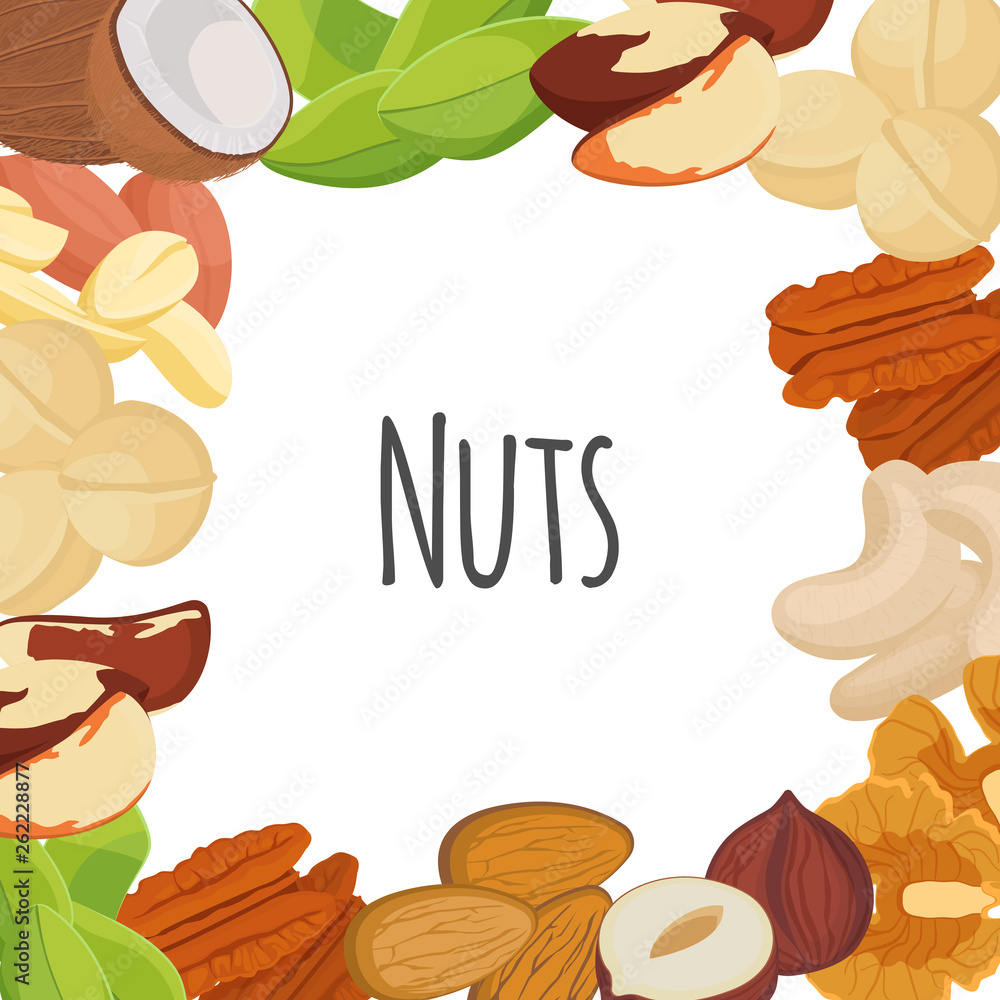 Nuts flat set. Food organic. Coconut, pistachio, brazil nut, hazelnut, almond, macadamia, peanut, pecan, walnut, cashew. Vector 