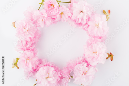 Pink floral composition. Round frame wreath pattern made of pink cherry blossoms, white background © ddukang