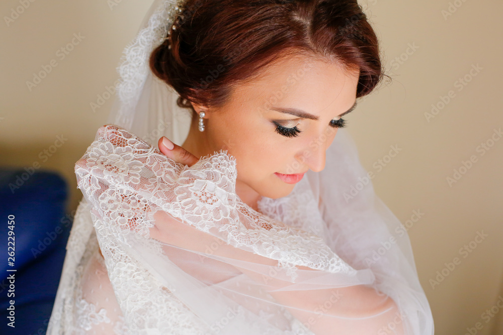 Beautiful bride posing indoor with veil Beautiful bride posing indoor with veil