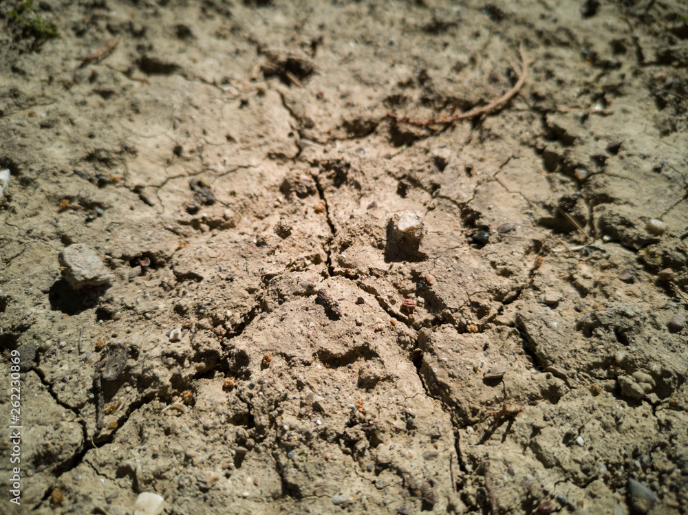 Dried soil texture Dried soil texture