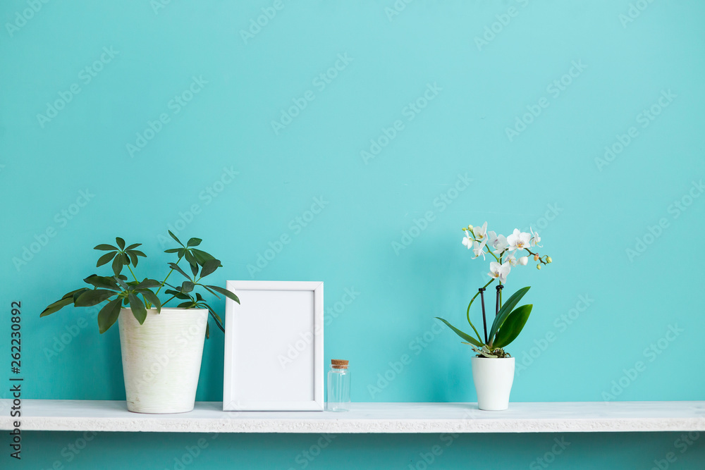 Modern room decoration with Picture frame mockup. White shelf against pastel turquoise wall with potted orchid and schefflera plant. Modern room decoration with Picture frame mockup. White shelf against pastel turquoise wall with potted orchid and schefflera plant.