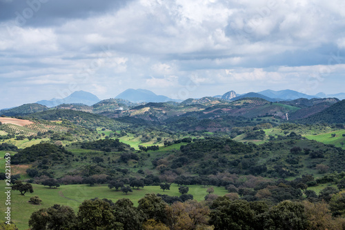 Landscape of Sierra de Grazalema natural park  Cadiz province  Andalusia  Spain.
