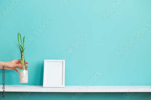 Modern room decoration with Picture frame mockup. White shelf against pastel turquoise wall and hand putting down spider plant cuttings in water.