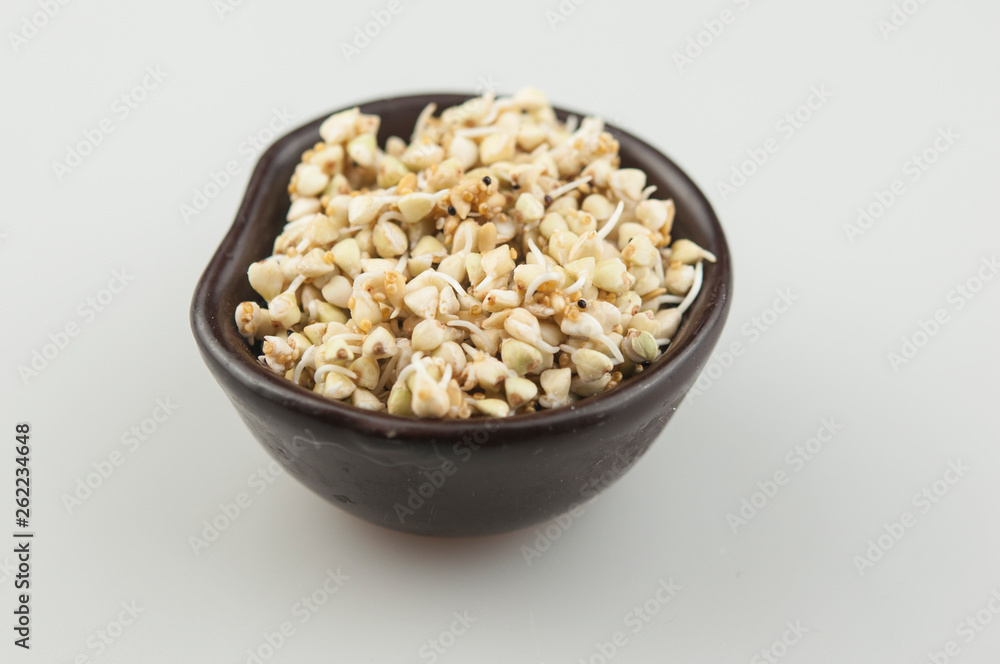 Sprouts of green buckwheat in a bowl. Macro shot. Raw buckwheat. Useful food from buckwheat sprouts for vegetarian food. Sprouts of green buckwheat in a bowl. Macro shot. Raw buckwheat. Useful food from buckwheat sprouts for vegetarian food.