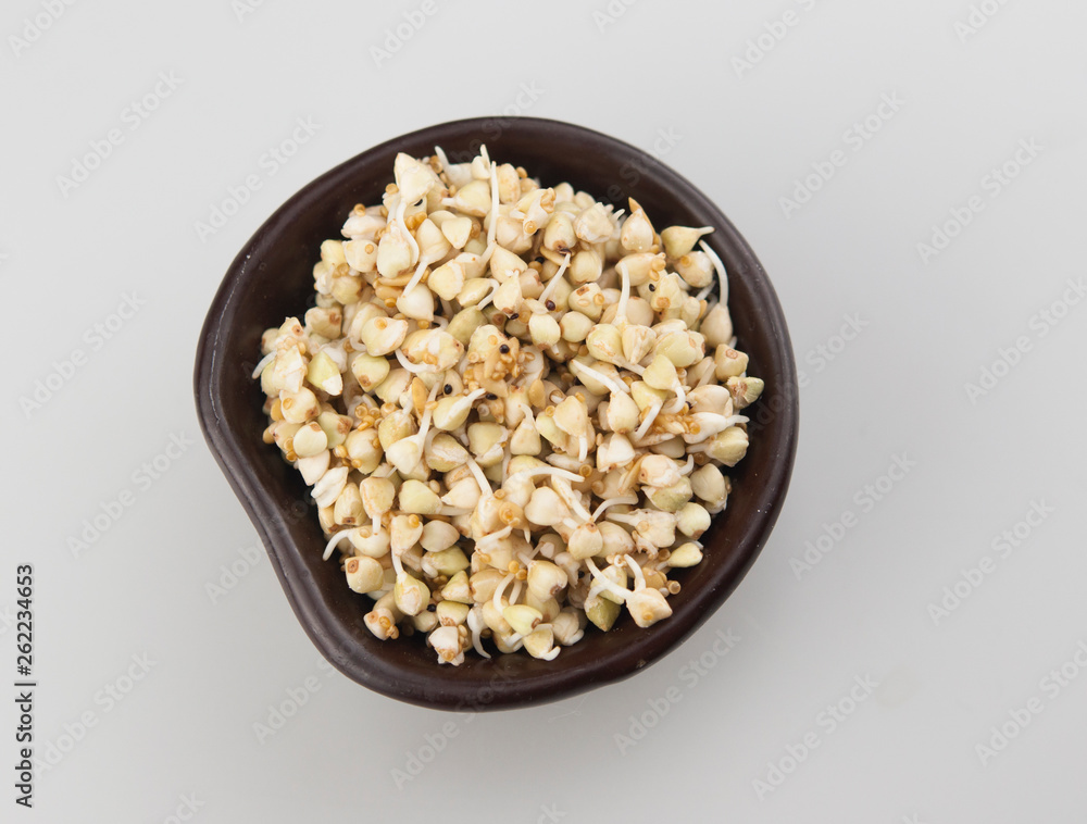 Sprouts of green buckwheat in a bowl. Macro shot. Raw buckwheat. Useful food from buckwheat sprouts for vegetarian food. Sprouts of green buckwheat in a bowl. Macro shot. Raw buckwheat. Useful food from buckwheat sprouts for vegetarian food.