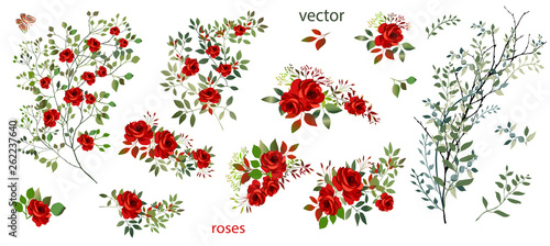 Vector. Wreaths.  Botanical collection of wild and garden plants. Set: leaves, flowers, branches, red roses,floral arrangements, natural elements.
