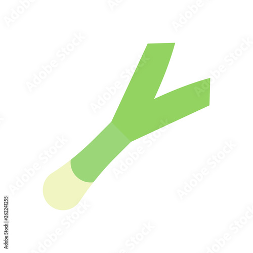 Leek Illustration
