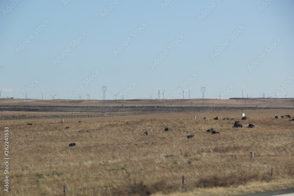 Autumn grassland Autumn grassland
