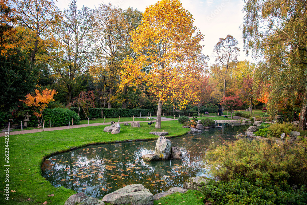 Kyoto Garden