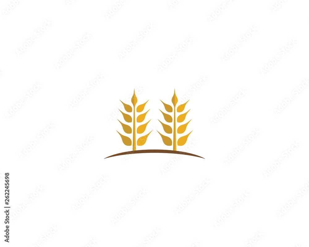 Wheat vector icon illustration Wheat vector icon illustration