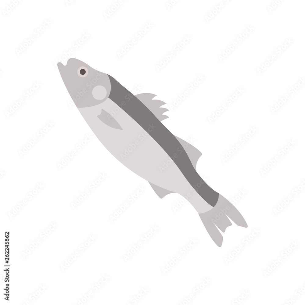 Sea Bass Illustration