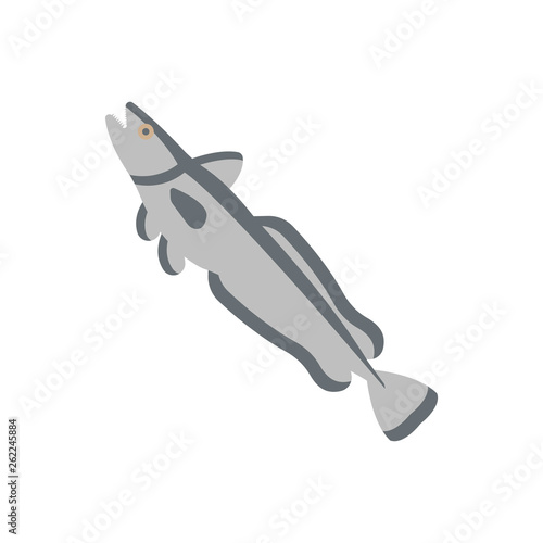 Hake Illustration