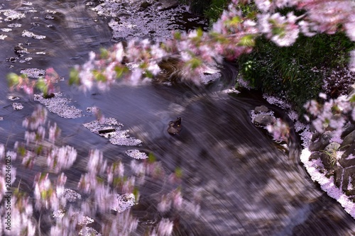 はなびら～Petals.