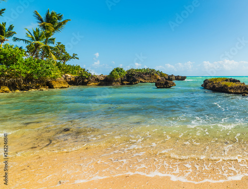 Golden sand and palms in a small cove in Guadeloupe