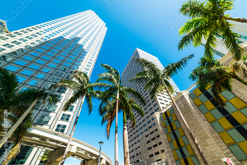 Skyscrapers and palm trees in downtown Miami on a sunny day