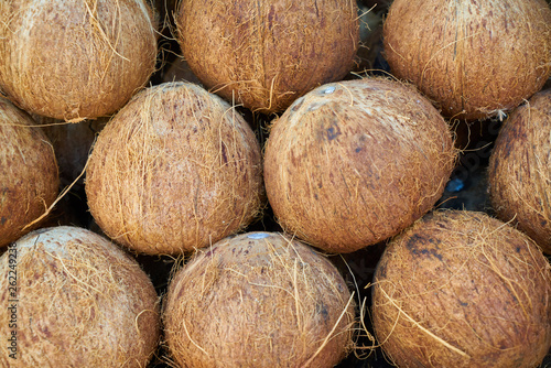 Beautiful coconut fruit