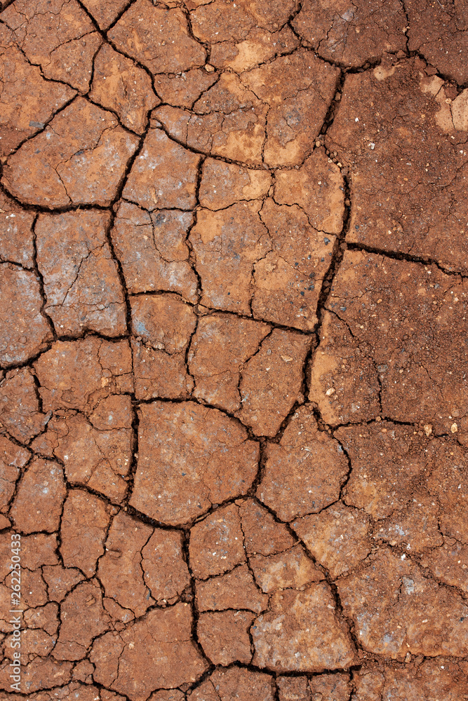 Dried soil texture Dried soil texture