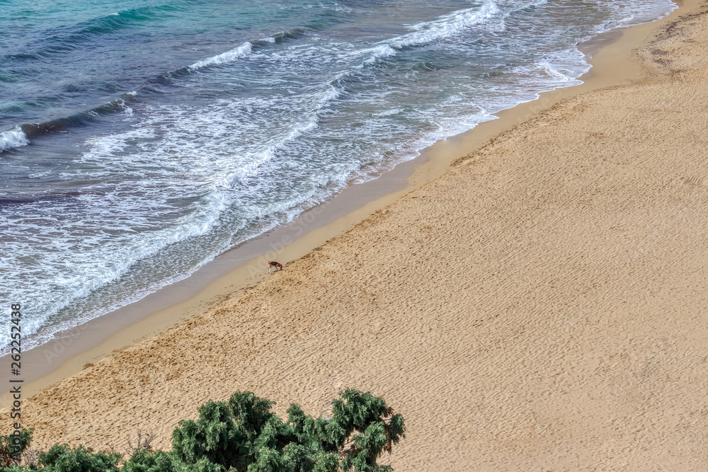 Beach Golden Bay in Malta, Ghajn Tuffieha, Mgarr, Malta
