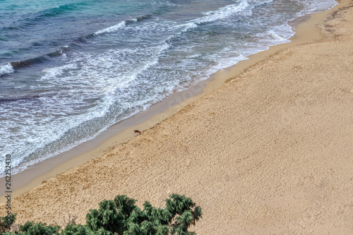 Obraz na płótnie Beach Golden Bay in Malta, Ghajn Tuffieha, Mgarr, Malta w salonie