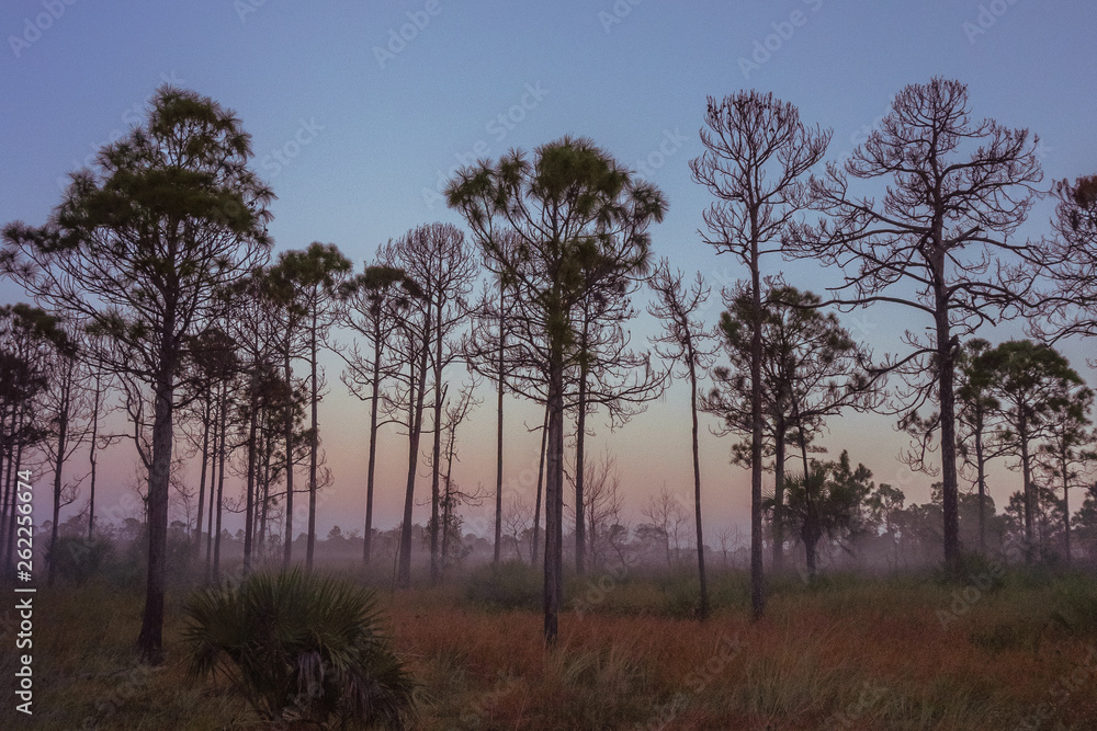 Old Florida sunrise in Palm Beach County Old Florida sunrise in Palm Beach County