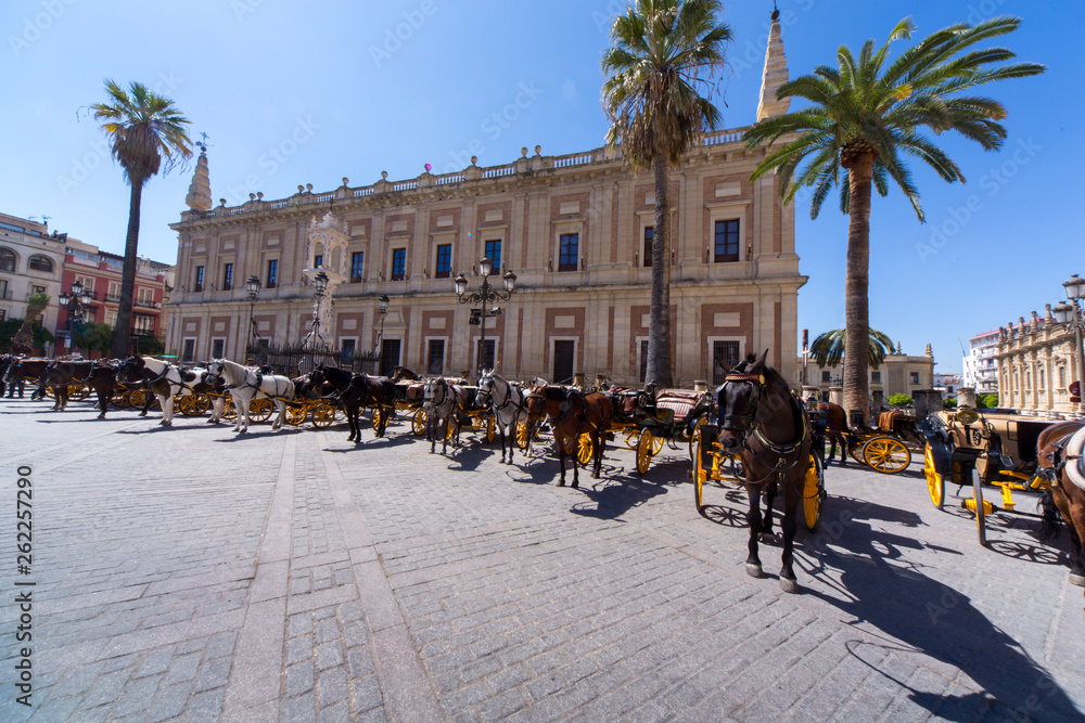 Obraz premium Horses and Pferde kutschen in Sevilla - Archivo General de Indias, India Archive, Indienarchiv