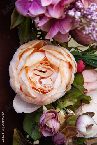pink rose on a white background