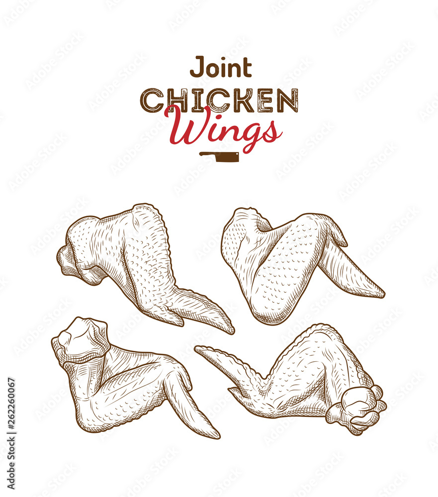 How To Draw A Chicken Wing Step By Step