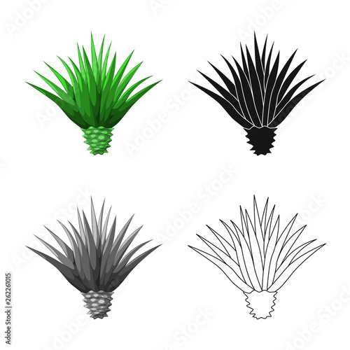 Isolated object of agave and plant  icon. Collection of agave and cactus vector icon for stock.