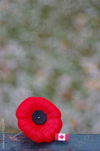 Wallpaper Mural Red poppy pin with Canada pin on spotty snowy background Torontodigital.ca
