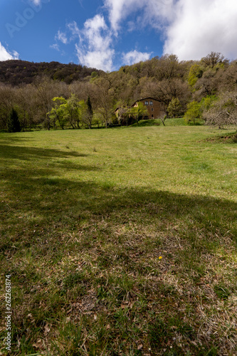 LANDSCAPE