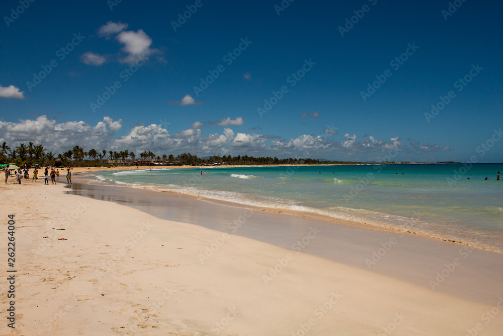 Caribbean sea colors: amazing wild public beach in the Dominican Republic: Playa Macao