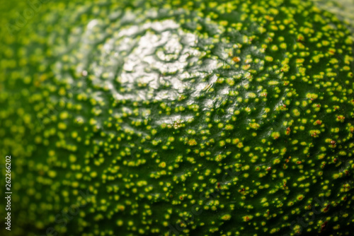 Fresh raw avocado on a cutting board. Top view with copy space.