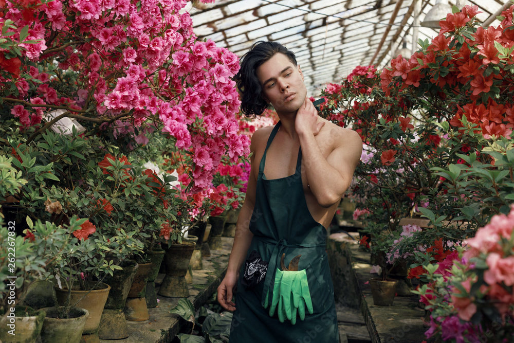 Handsome young male florist with long dark hair wearing green apron Handsome young male florist with long dark hair wearing green apron