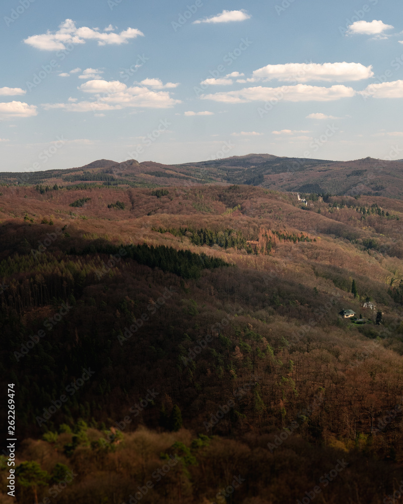 Drachenfels