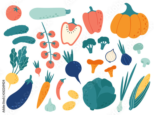 Hand drawn vegetables. Veggies nutrition doodle, organic vegan food and vegetable doodles vector illustration set photo